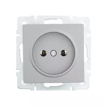 Розетка Lezard Vesna встраиваемая платина (742-3588-121B)