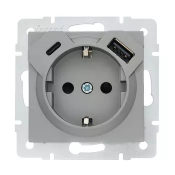 Розетка Lezard Vesna встраиваемая платина с USB-A/ Type-C (742-3588-181TC)