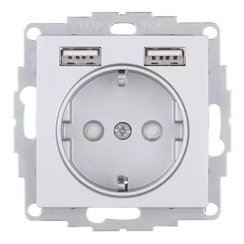 Розетка Systeme Electric AtlasDesign встраиваемая алюминий 2хUSB-А (ATN000330)