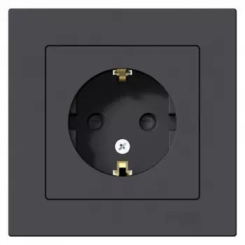 Розетка Systeme Electric AtlasDesign встраиваемая карбон со шторками (ATN001044)