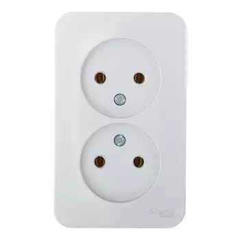 Розетка Systeme Electric Blanca накладная алюминий (BLNRA000213)