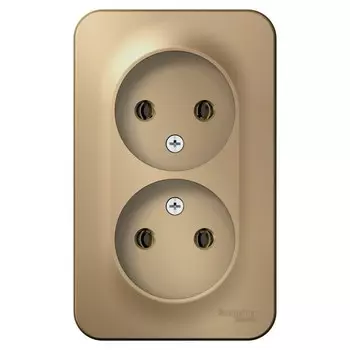 Розетка Systeme Electric Blanca накладная титан (BLNRA000214)