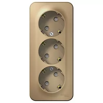 Розетка Systeme Electric Blanca накладная титан со шторками (BLNRA011314)