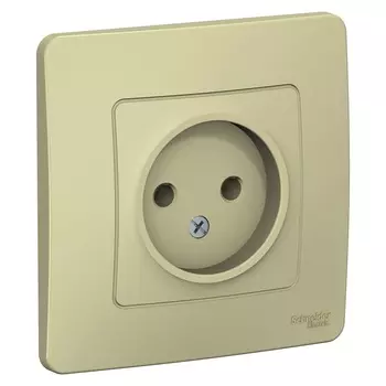 Розетка Systeme Electric Blanca встраиваемая бежевая (BLNRS000017)