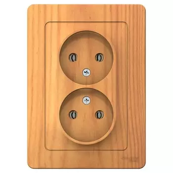 Розетка Systeme Electric Blanca встраиваемая ясень (BLNRS000025)