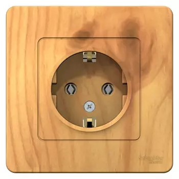 Розетка Systeme Electric Blanca встраиваемая ясень (BLNRS001015)