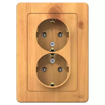 Розетка Systeme Electric Blanca встраиваемая ясень (BLNRS001025)