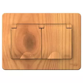 Розетка Systeme Electric Blanca встраиваемая ясень со шторками (BLNRS441125)