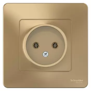 Розетка Systeme Electric Blanca встраиваемая титан (BLNRS000014)