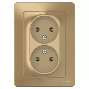 Розетка Systeme Electric Blanca встраиваемая титан (BLNRS000024)