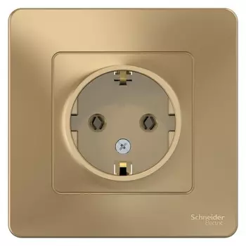 Розетка Systeme Electric Blanca встраиваемая титан (BLNRS001014)