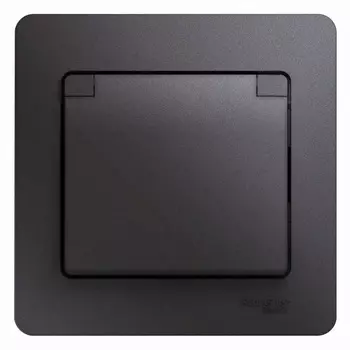 Розетка Systeme Electric Glossa встраиваемая графит со шторками с крышкой (GSL001346)