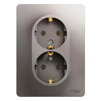 Розетка Systeme Electric Glossa встраиваемая платина (GSL001224)