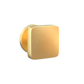 Ручка-кнопка Punto Salut R.ARC.R52 SSG-39 круглая розетка сатинированное золото (47941)