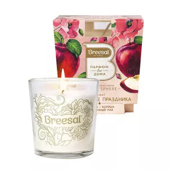 Свеча ароматическая Breesal Aromа Sphere Настроение праздника 170 г