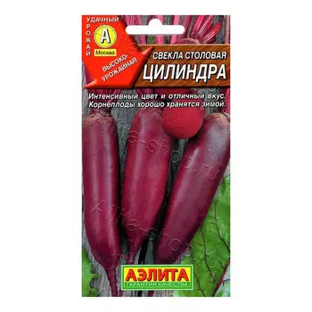 Свекла столовая Цилиндра Аэлита 20 шт.