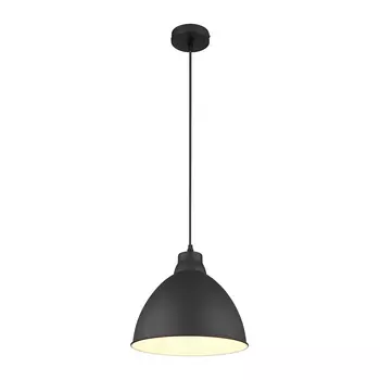 Светильник подвесной Arte Lamp Braccio E27 60 Вт 2 кв.м черный IP20 (A2055SP-1BK)
