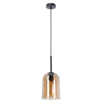 Светильник подвесной Arte Lamp Cody E14 60 Вт 2 кв.м черный IP20 (A7015SP-1BK)