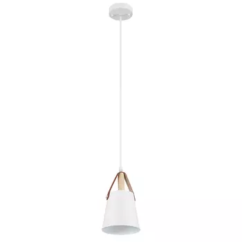 Светильник подвесной Arte Lamp Thomas E27 60 Вт 2 кв.м белый IP20 (A7032SP-1WH)