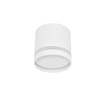 Светильник потолочный IN HOME НПБ GX53 белый IP20 (4690612046532)