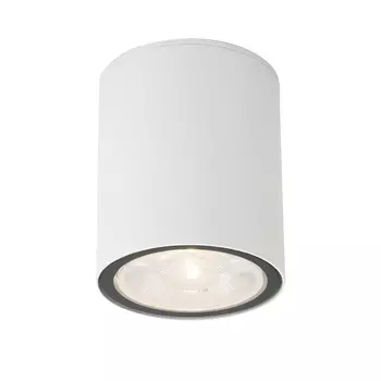 Светильник светодиодный садово-парковый накладной Elektrostandard Light LED белый 110 мм 4000К 7 Вт IP65 (35131/H)