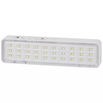 Табло световое аварийное Эра DPA-1 6500К 3 Вт (DBA-101-0-20)