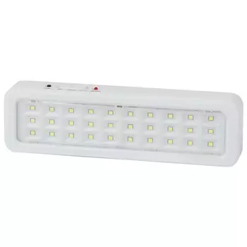 Табло световое аварийное Эра DPA-1 6500К 3 Вт (DBA-105-0-20)