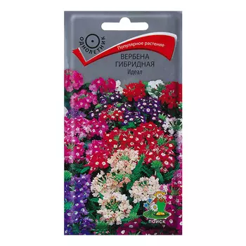 Вербена гибридная Идеал Поиск 1 г
