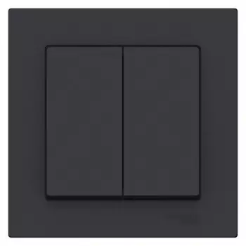 Выключатель Systeme Electric AtlasDesign двухклавишный встраиваемый карбон (ATN001052)