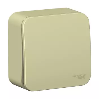 Выключатель Systeme Electric Blanca одноклавишный накладной бежевый (BLNVA101017)