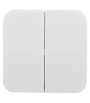 Выключатель Systeme Electric Blanca двухклавишный накладной белый (BLNVA105011)