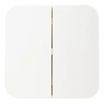 Выключатель Systeme Electric Blanca двухклавишный накладной молочный (BLNVA105012)