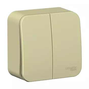 Выключатель Systeme Electric Blanca двухклавишный накладной бежевый (BLNVA105017)