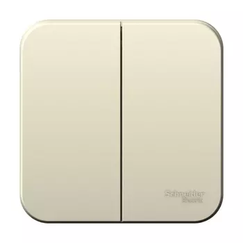 Выключатель Systeme Electric Blanca двухклавишный накладной молочный (BLNVA065012)