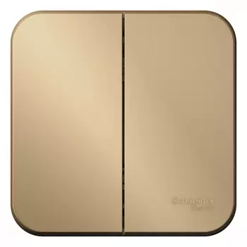 Выключатель Systeme Electric Blanca двухклавишный накладной титан (BLNVA105014)