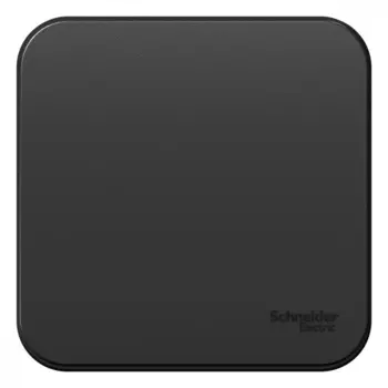 Выключатель Systeme Electric Blanca одноклавишный накладной антрацит (BLNVA101006)