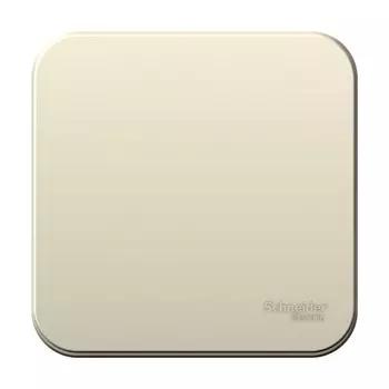Выключатель Systeme Electric Blanca одноклавишный накладной молочный (BLNVA101012)