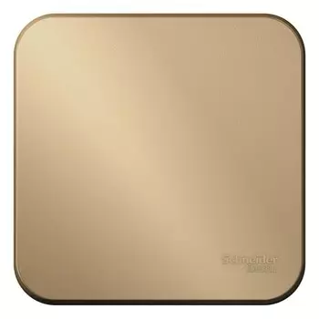 Выключатель Systeme Electric Blanca одноклавишный накладной титан (BLNVA101014)