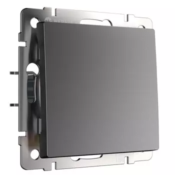 Выключатель Werkel одноклавишный встраиваемый графит матовый (a063095)