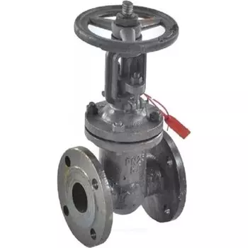 Задвижка клиновая фланцевая DN250 PN25 DN.ru (D040-04700)