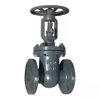 Задвижка клиновая фланцевая DN50 PN16 DN.ru (D040-01716)