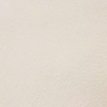 Жидкие обои Silk Plaster Мастер-Шелк MS-112 светло-бежевые 0,703 кг