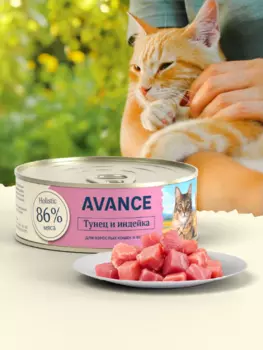 Холистики AVANCE holistic консервы