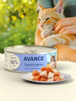 Холистики AVANCE holistic консервы