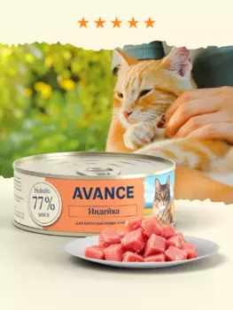 Холистики AVANCE holistic консервы