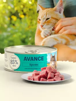 Холистики AVANCE holistic консервы