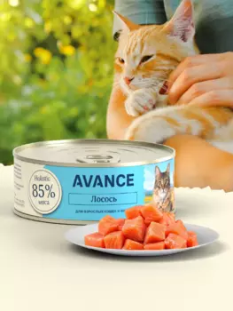 Холистики AVANCE holistic консервы