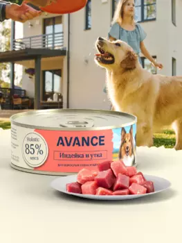 Холистики AVANCE holistic консервы