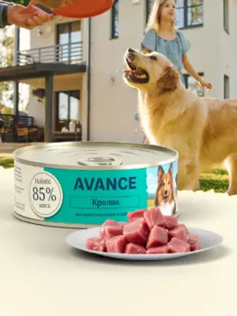 Холистики AVANCE holistic консервы