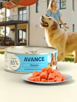 Холистики AVANCE holistic консервы